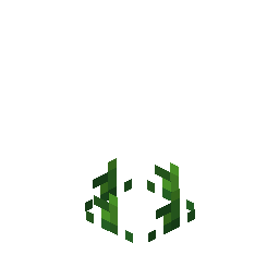 Block Visualization